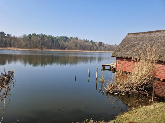 Foto der Immobilie (3601)