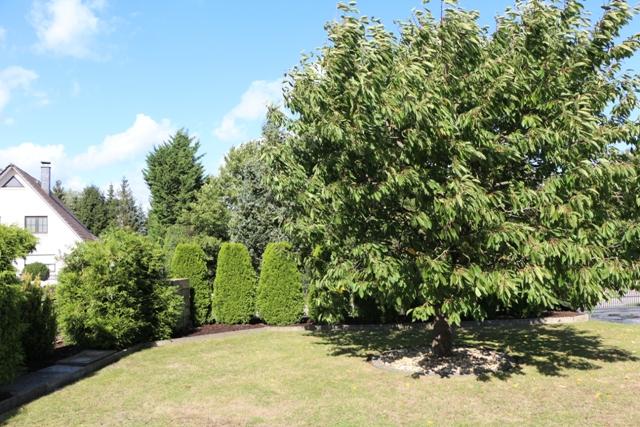 Foto der Immobilie (4230)