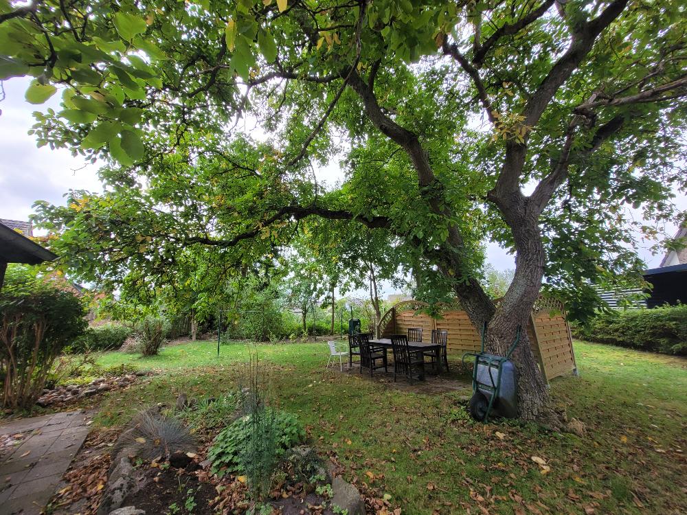 Foto der Immobilie (4018)