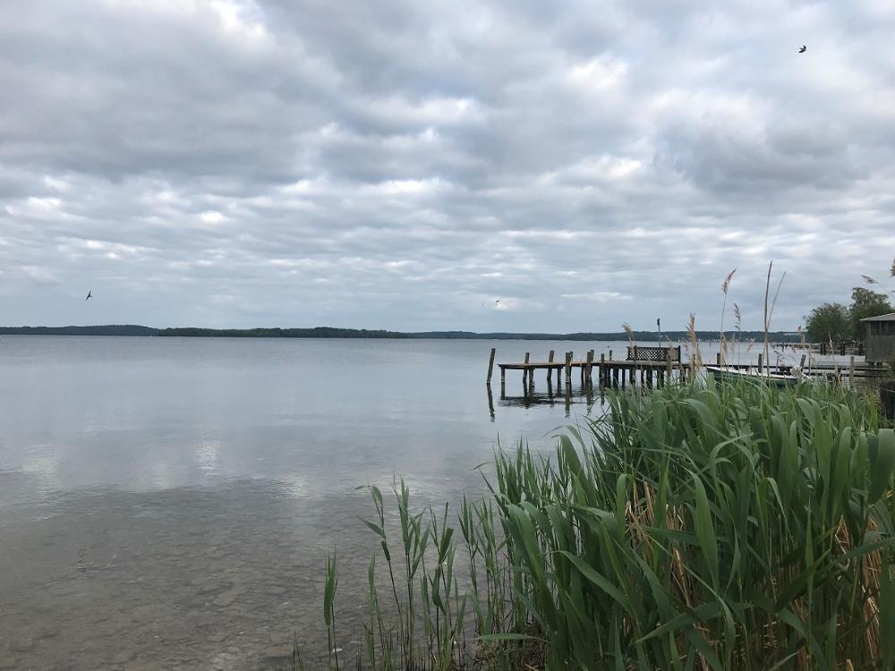 Foto der Immobilie (4453)