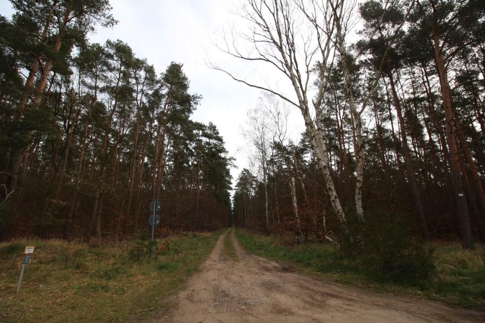 Foto der Immobilie (4328)