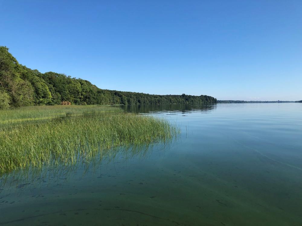 Foto der Immobilie (4451)