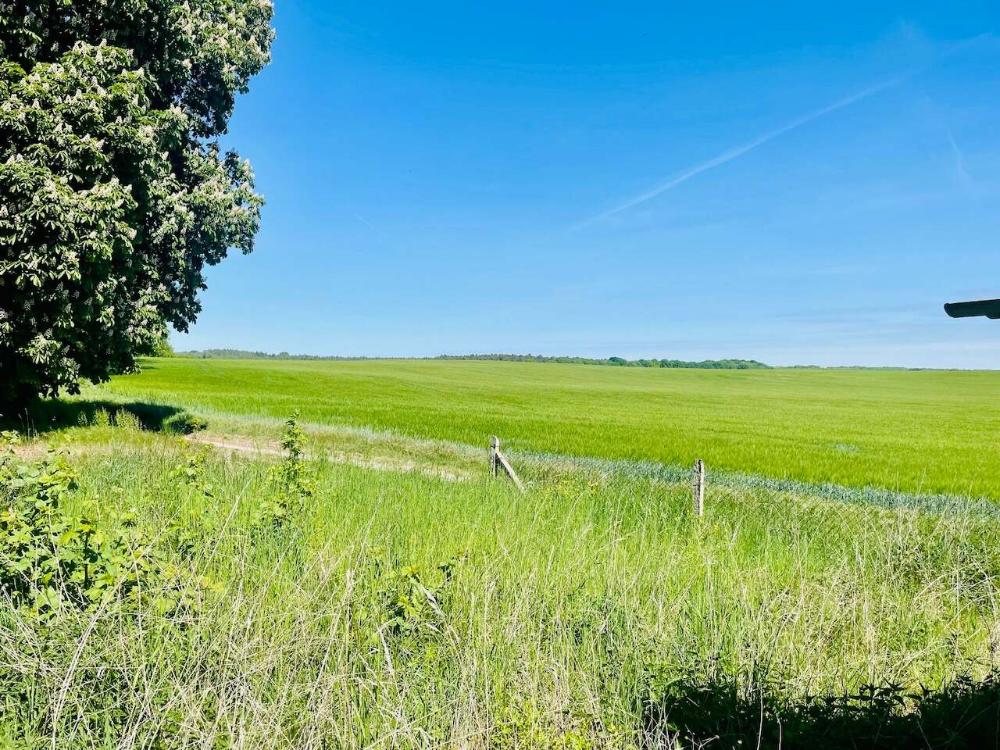 Foto der Immobilie (4348)