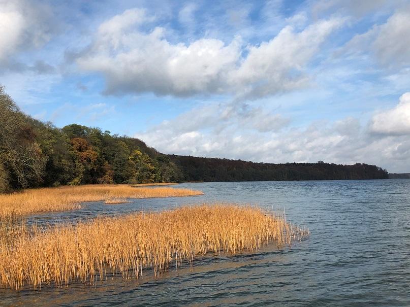 Foto der Immobilie (4459)