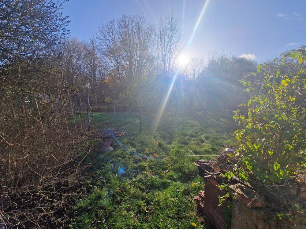 Foto der Immobilie (4609)