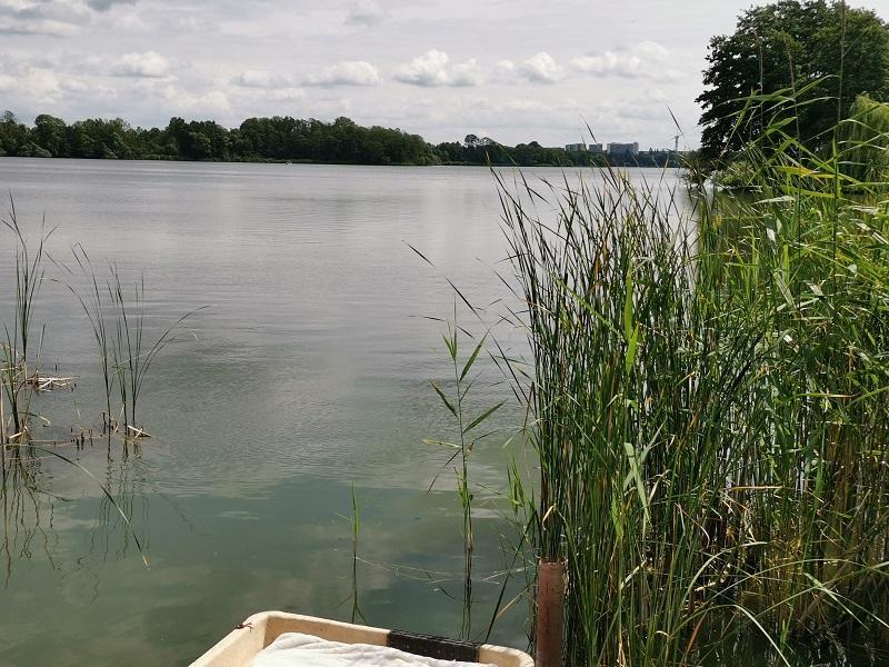 Foto der Immobilie (4819)