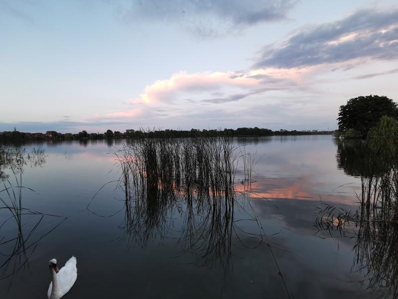 Foto der Immobilie (4830)