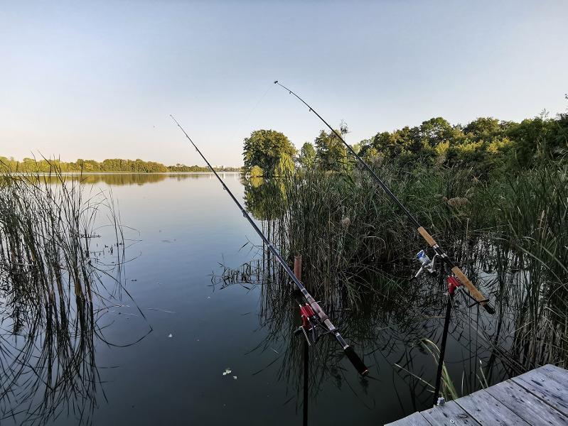 Foto der Immobilie (4813)