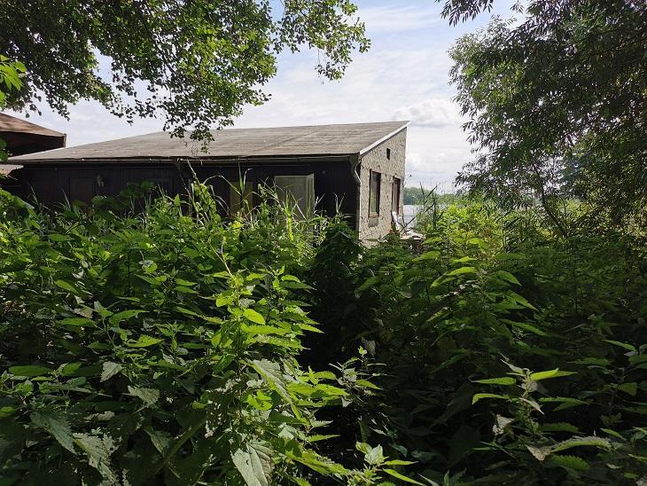 Foto der Immobilie (4818)