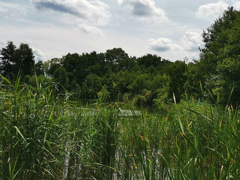 Foto der Immobilie (4826)