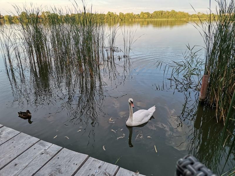 Foto der Immobilie (4833)