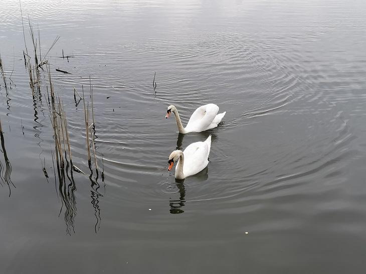 Foto der Immobilie (4814)