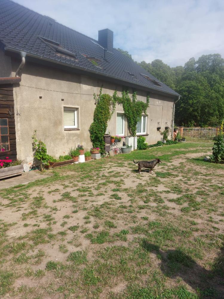 Foto der Immobilie (5200)
