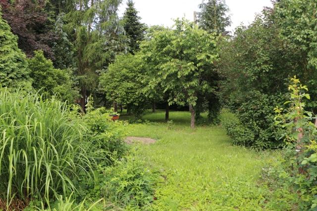 Foto der Immobilie (5601)