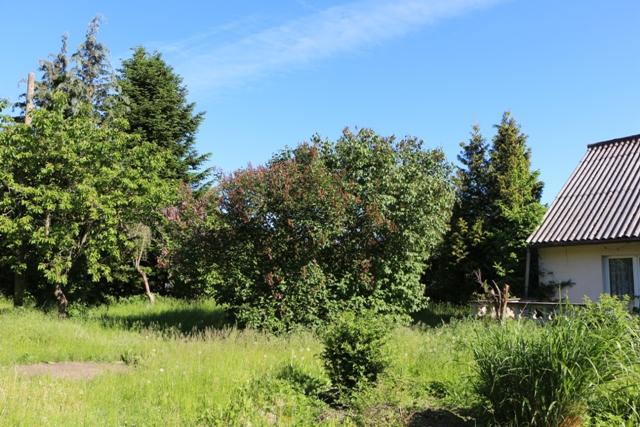 Foto der Immobilie (5597)