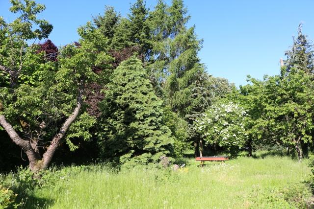 Foto der Immobilie (5594)