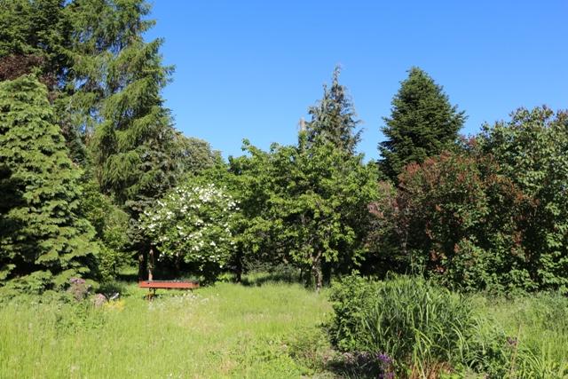 Foto der Immobilie (5591)